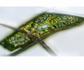 南京创意产业园区景观规划设计